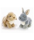 PELUCHE ARVEY CONIGLIO 2 COL 23 CM